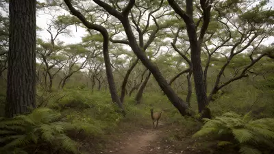 Breathtaking Wildlife in the Thickets Hunting Behaviors Unveiled