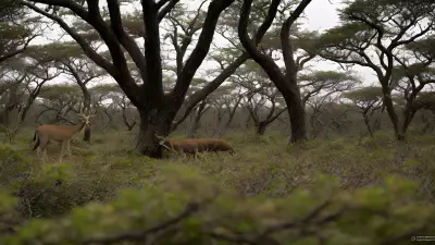 Breathtaking Wildlife in the Thickets Hunting Behaviors Unveiled