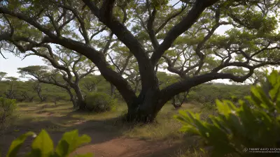 Breathtaking Wildlife in the Thickets Hunting Behaviors Unveiled