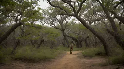 Breathtaking Wildlife in the Thickets Hunting Behaviors Unveiled