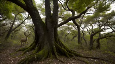 Breathtaking Wildlife in the Thickets Hunting Behaviors Unveiled