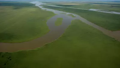 Migration in Motion Aerial Shots of Protagonist George Lambert in the Floodplain