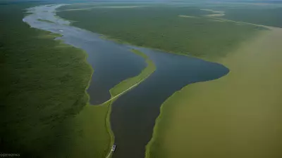 Migration in Motion Aerial Shots of Protagonist George Lambert in the Floodplain