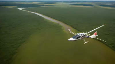 Migration in Motion Aerial Shots of Protagonist George Lambert in the Floodplain