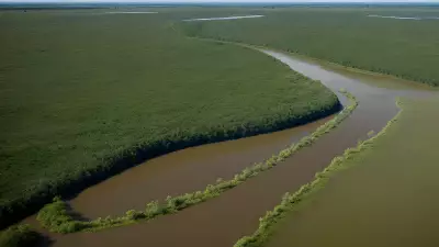 Migration in Motion Aerial Shots of Protagonist George Lambert in the Floodplain
