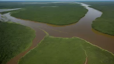 Migration in Motion Aerial Shots of Protagonist George Lambert in the Floodplain
