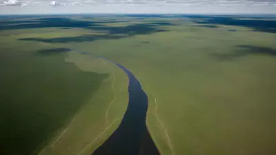 Migration in Motion Aerial Shots of Protagonist George Lambert in the Floodplain