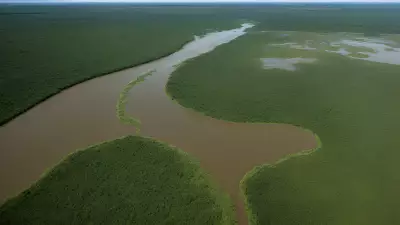 Migration in Motion Aerial Shots of Protagonist George Lambert in the Floodplain