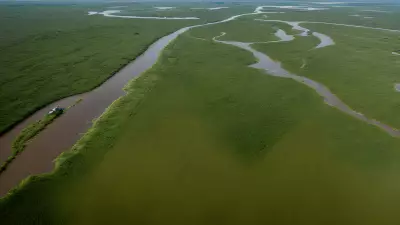 Migration in Motion Aerial Shots of Protagonist George Lambert in the Floodplain