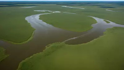 Migration in Motion Aerial Shots of Protagonist George Lambert in the Floodplain