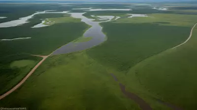 Migration in Motion Aerial Shots of Protagonist George Lambert in the Floodplain