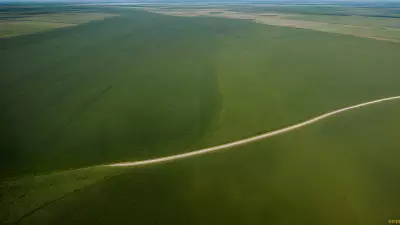 Migration in Motion Aerial Shots of Protagonist George Lambert in the Floodplain