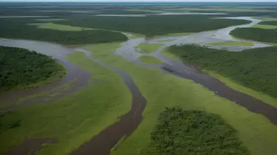 Migration in Motion Aerial Shots of Protagonist George Lambert in the Floodplain