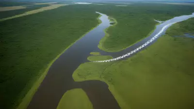 Migration in Motion Aerial Shots of Protagonist George Lambert in the Floodplain
