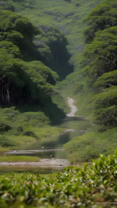 Capturing the Avian Wonders of Remote Locations for Wildlife Conservation