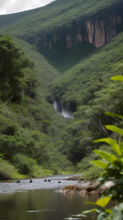 Capturing the Avian Wonders of Remote Locations for Wildlife Conservation