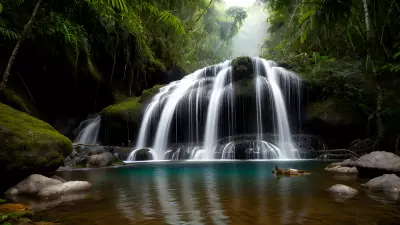Prowess of Predators in the Rainforest Capturing Waterfalls in Waheed Haram Khwar
