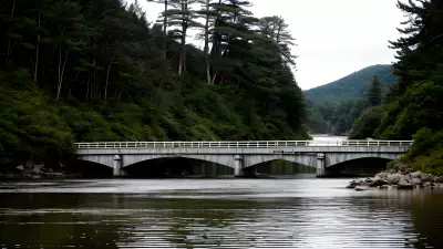 Celebrating Minimalism A Bridge and its Boundless Simplicity
