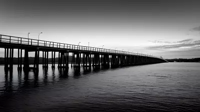Celebrating Minimalism A Bridge and its Boundless Simplicity